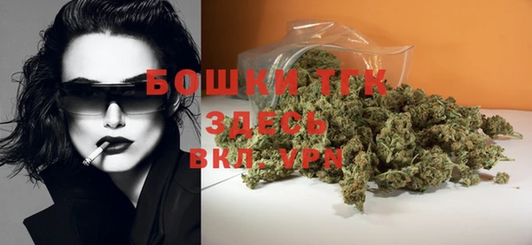 шишки Ельня
