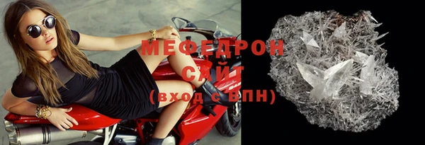 шишки Ельня