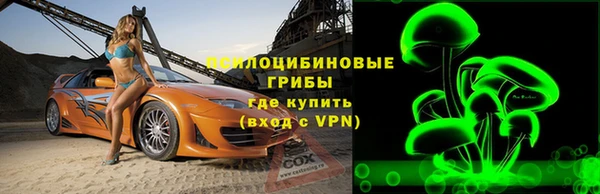ГАЛЛЮЦИНОГЕННЫЕ ГРИБЫ Елабуга