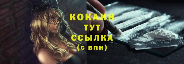 ГАЛЛЮЦИНОГЕННЫЕ ГРИБЫ Елабуга