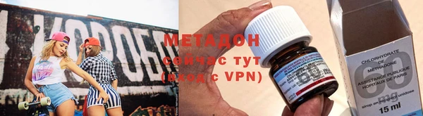 шишки Ельня