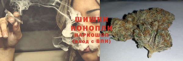 сатива Дмитров