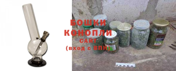 ГАЛЛЮЦИНОГЕННЫЕ ГРИБЫ Елабуга