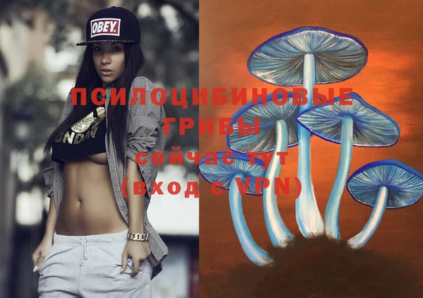 шишки Ельня