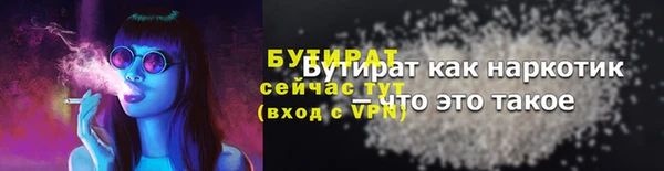шишки Ельня