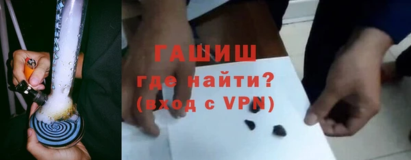шишки Ельня