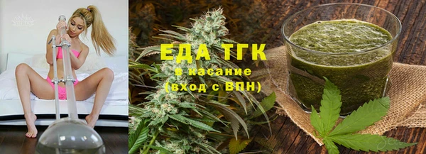шишки Ельня