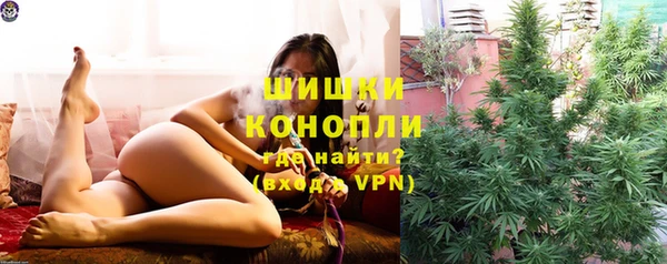 ГАЛЛЮЦИНОГЕННЫЕ ГРИБЫ Елабуга