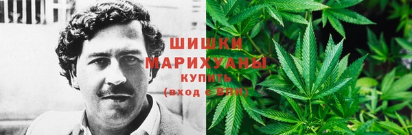 ГАЛЛЮЦИНОГЕННЫЕ ГРИБЫ Елабуга