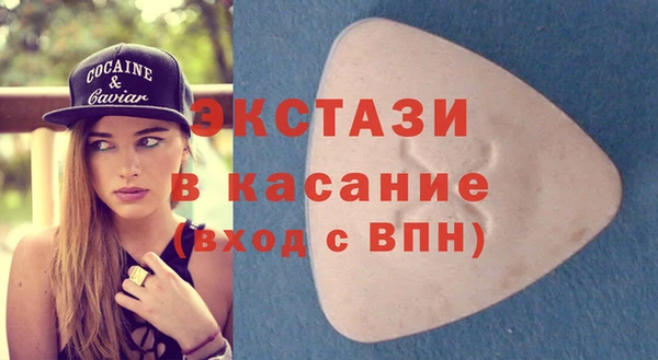 шишки Ельня