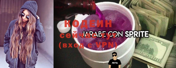 ГАЛЛЮЦИНОГЕННЫЕ ГРИБЫ Елабуга