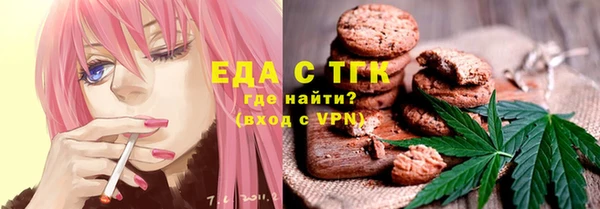 шишки Ельня